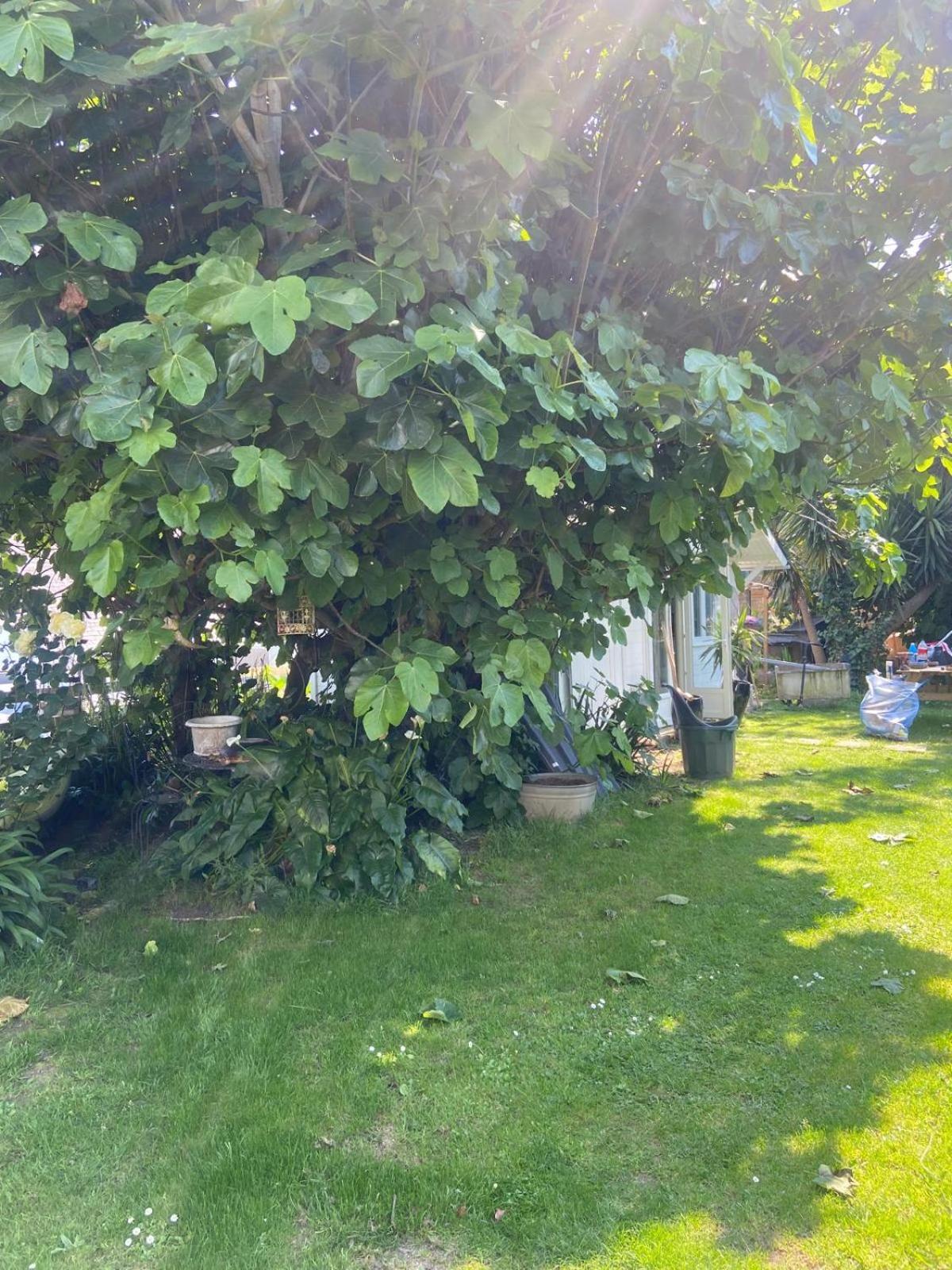 Boheme - Voyageur Solo - Jardin Partage * Perros-Guirec
