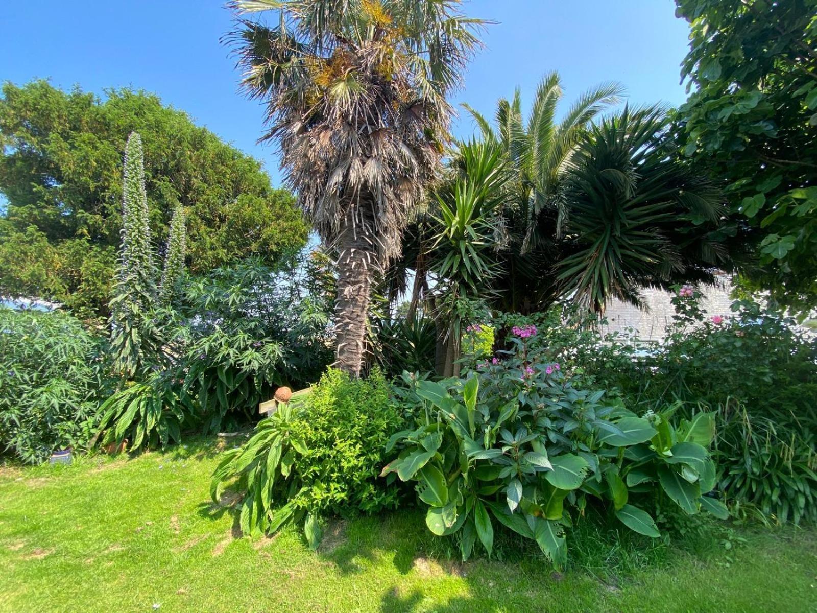 Boheme - Voyageur Solo - Jardin Partage Lodge